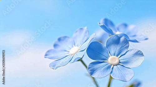 Blue flowers against sky