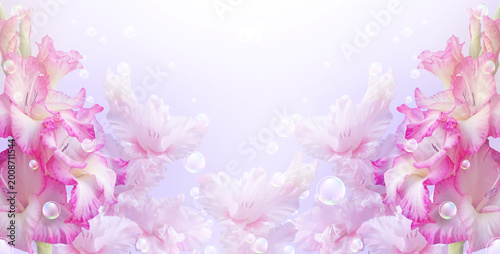 Soft pink gladiolus floral background with copy space. Romantic floral composition with copy space.