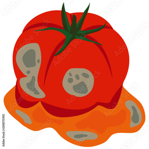 Cuadro en lienzo spoiled tomato, moldy tomato vector.