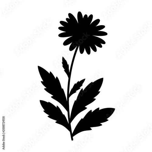 Silhouette of a vibrant flower with detailed leaves and petals in a simplistic black design on white background for botanical