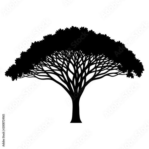 Intricate silhouette of a sprawling tree with detailed branches and lush foliage showcasing natural beauty and symmetrical design