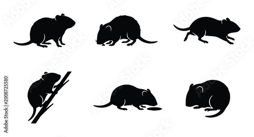 six black and white vector rat silhouettes on white background