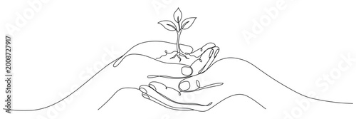 Solid line drawing of hands holding a sprout. A plant in a human hand, single line drawing. Vector illustration isolated on a white background. Editable outline.