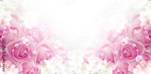Pink roses floral background with white blossoms and copy space
