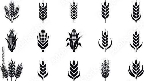 Photos Black Wheat and Corn Icon Set Featuring Agricultural Grain Symbols Silhouettes for Farming Harvest Food Industry Organic Branding and Rural Design Elements