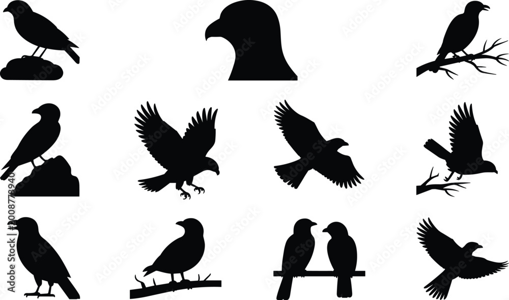 Fototapeta premium Crow bird silhouettes set, raven and crow flying perched collection, black bird vector icons isolated illustration pack