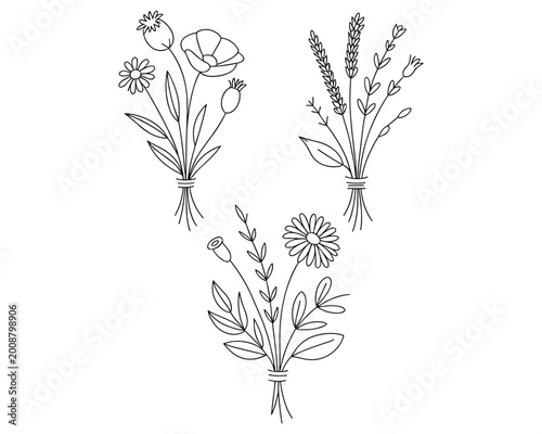Three bouquets of wildflowers and grasses in a simple line drawing style