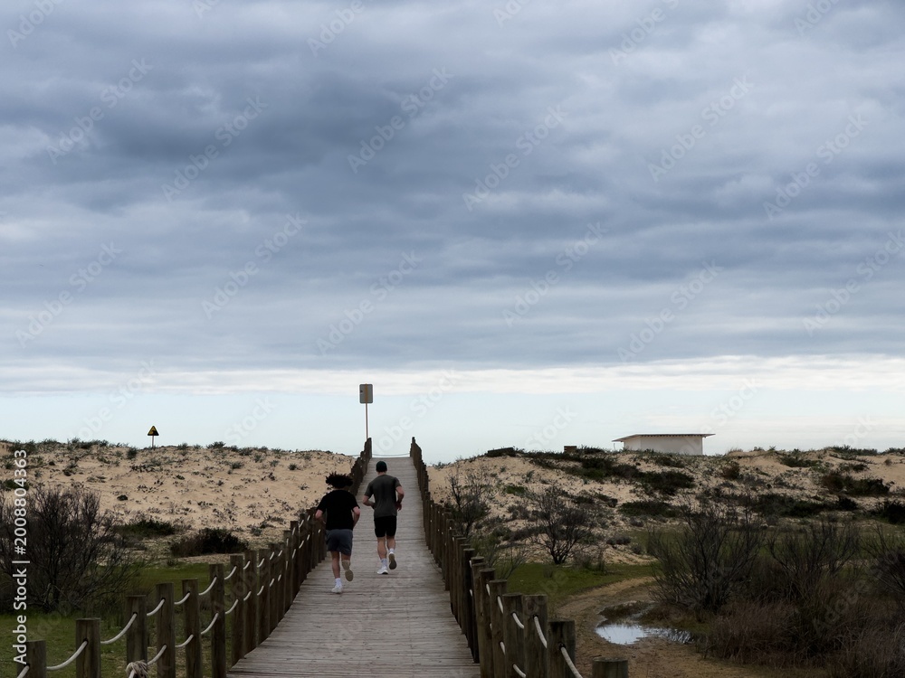 Fototapeta premium Sturdy wooden stairs rise from the sandy beach, surrounded by tall grasses, leading to the top of the dune under a cloudy afternoon sky. The scene is calm and inviting.