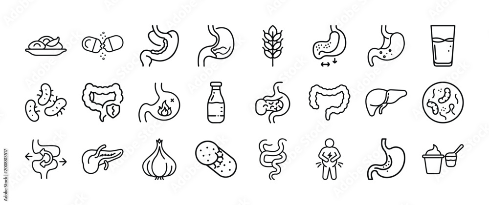 Obraz premium Digestion and probiotics line icon set, 24 vector elements for gut health, stomach and intestinal tract anatomy symbols, healthy digestive system icons