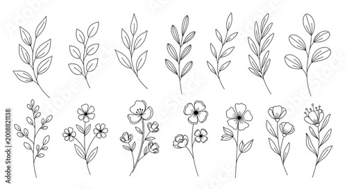 Botanical Illustrations of Various Plants and Flowers.