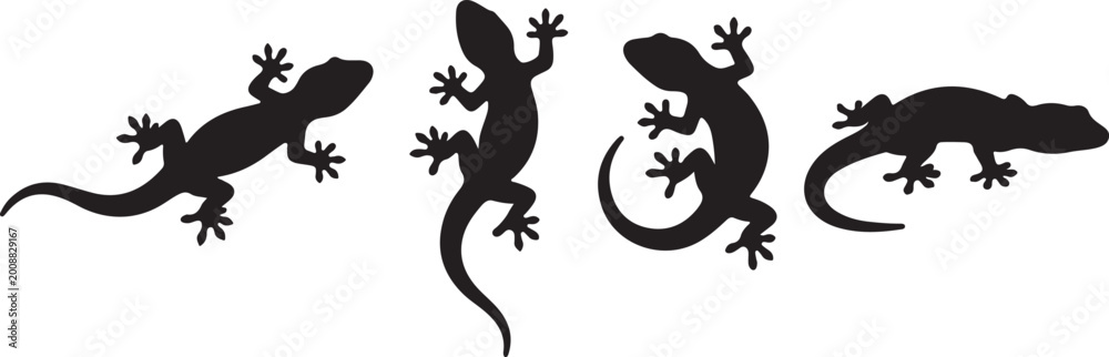 Obraz premium Lizard Gecko Silhouette Vector Set for Wildlife Reptile and Tropical Animal Design