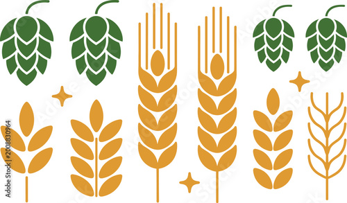 Foto Vector illustration of green hop cones and golden wheat stalks with decorative s