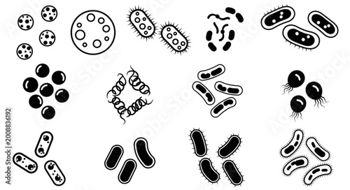 Obraz na płótnie Collection of Various Bacterial and Microbial Shapes.