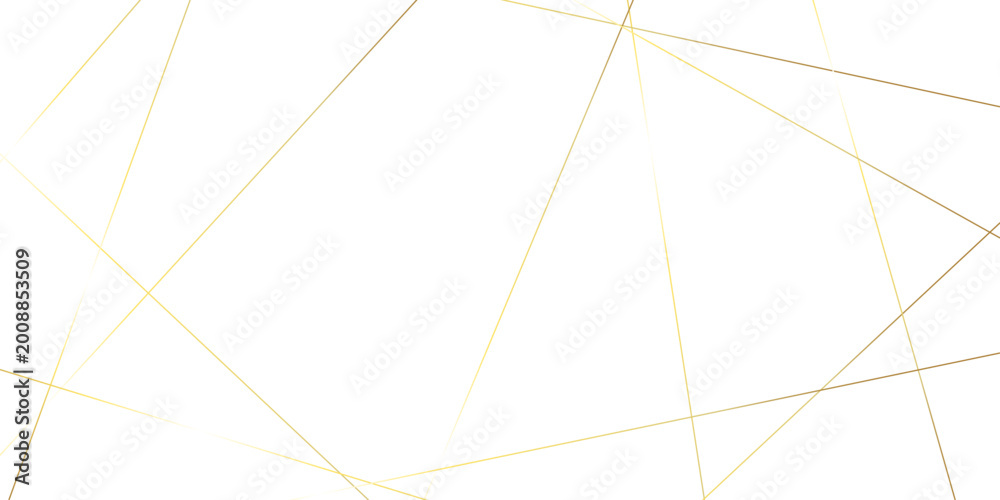 Obraz premium Abstract randomly gradient vector white striped line pattern shape art wallpaper. modern seamless fabric striped minimal smooth futuristic diagonal thin vintage background.