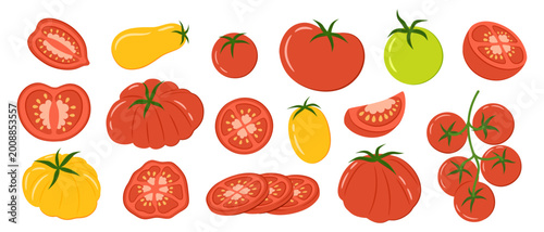 Konstfotografi Fresh organic tomatoes collection with red yellow and green colors