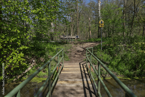Schmale Brücke auf einem Reitweg durch den grünen Auwald im Frühling mit Blick in die dichte Waldlandschaft, Leipzig, Landkreis Leipzig, Sachsen, Deutschland