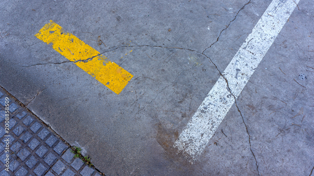 Fototapeta premium Urban sidewalk with concrete tiles and small grass growing between joints, natural contrast between artificial surface and vegetation.