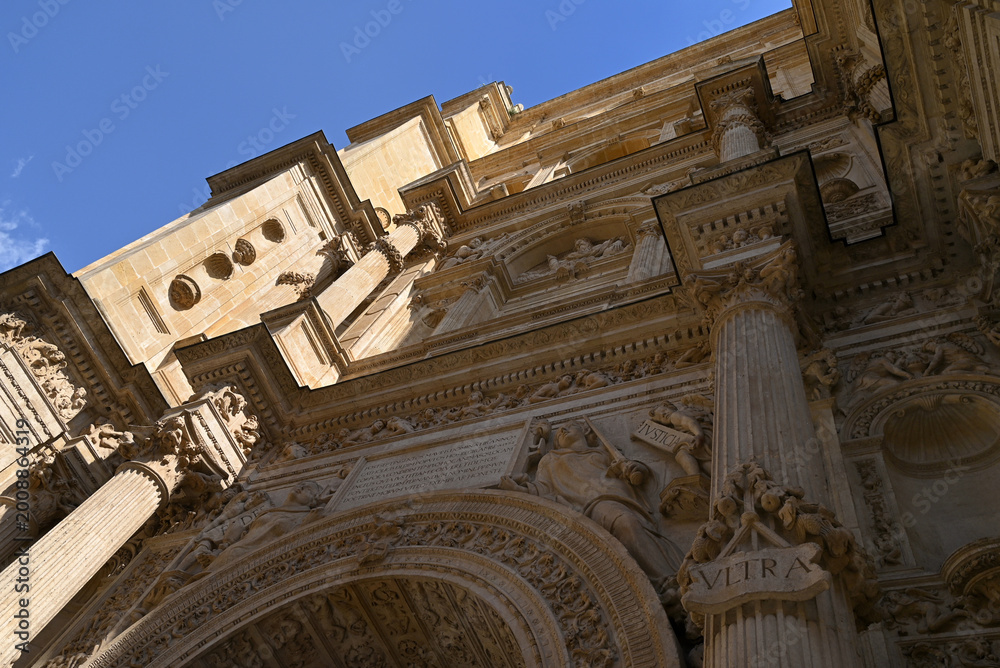 Fototapeta premium Détail architectural de la cathédrale de l'Incarnation à Grenade