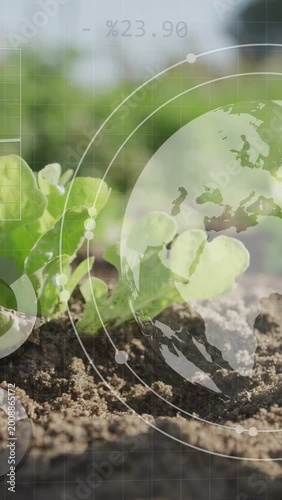 Vertical video: Overlay fading lettuce sprout pushing from soil globe rings rotating showing data