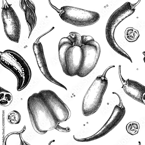 Pepper seamless pattern in engraving style. Hand drawn vector vegetable illustration. Vintage food background. NOT AI generated. 