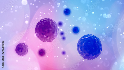 Orthohantavirus is a genus of viruses that includes all hantaviruses that cause disease in humans, but are not spread by humans. Hantaviruses are transmitted mainly through aerosols and droplets