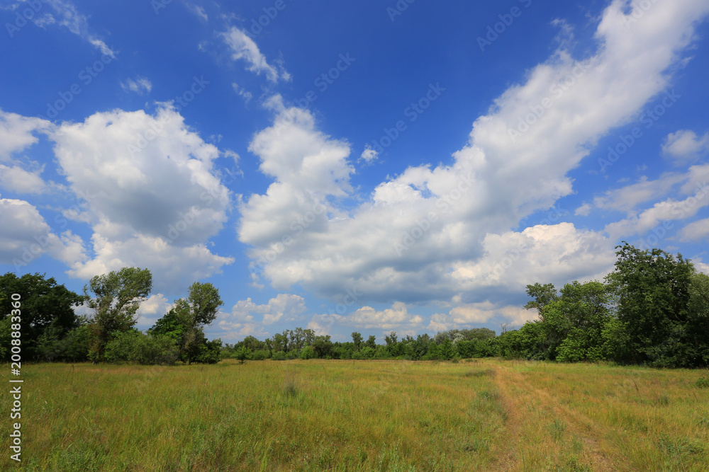 Obraz premium Vast green meadow under a dramatic sky with fluffy white clouds and blue expanse