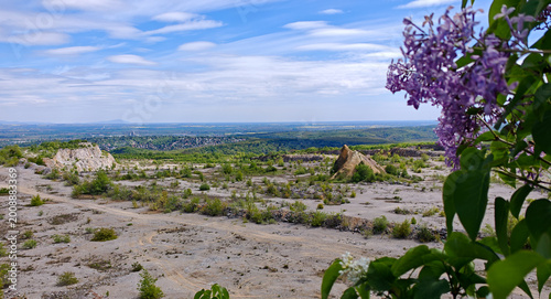 Schilderij op canvas Scenic view of Miskolc city from an abandoned quarry in the Bükk Mountains, Hungary, framed by blooming lilac flowers in the foreground