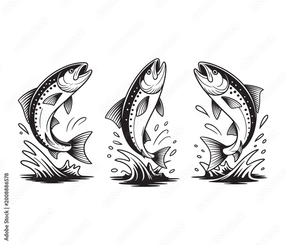 Fototapeta premium Jumping Salmon Fish Set, three vector illustrations, dynamic leaping fish icons, wildlife and nature seafood design, clean flat style