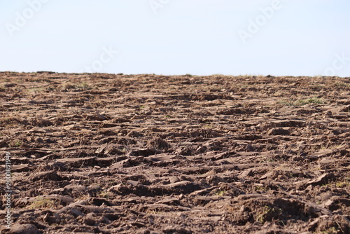 Freshly plowed agricultural field with textured brown soil clods under a clear sky, preparing for the spring sowing season in rural countryside