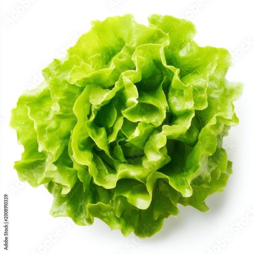 Fresh Green Lettuce Leaf with Crisp Texture and Vibrant Color Isolated on White Background