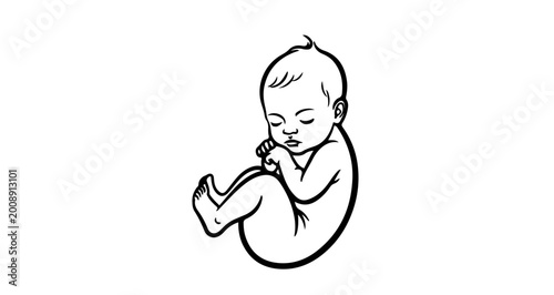 Line art illustration of a fetus in the womb