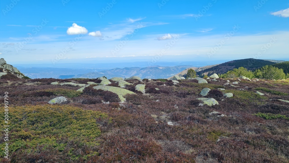 Fototapeta premium Les basses Cévennes et la plaine ardéchoise vus depuis les plateaux de bruyère du mont Lozère (parc national des Cévennes)