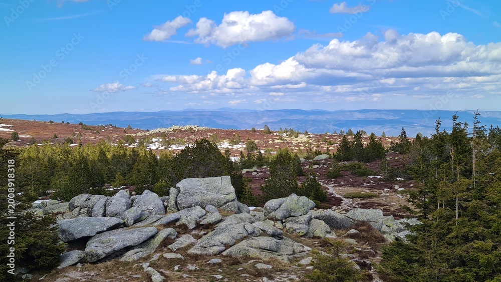 Fototapeta premium Les landes d'altitude du mont Lozère vues depuis le pic Cassini (parc national des Cévennes)