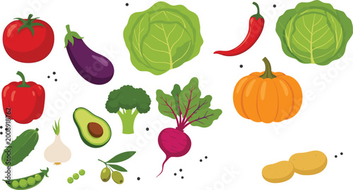 Fresh Vegetable Vector Collection with Tomato Eggplant Cabbage Chili Broccoli Avocado Beet Pumpkin Garlic and Potato Illustrations for Food