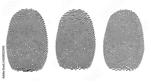Bild auf Leinwand Detailed black fingerprint set on white background, human thumbprint icons for s