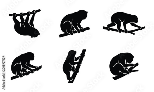 Photography vector monkey climbing icons set on white background