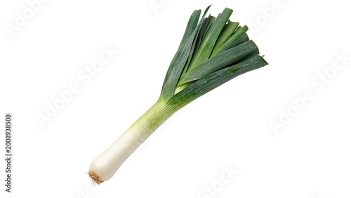 Fotografie Single fresh green leek vegetable with long leaves and white bulb for healthy co