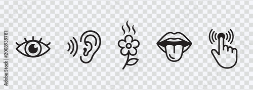 Sense Icons: Vision, Hearing, Taste, Smell, Touch