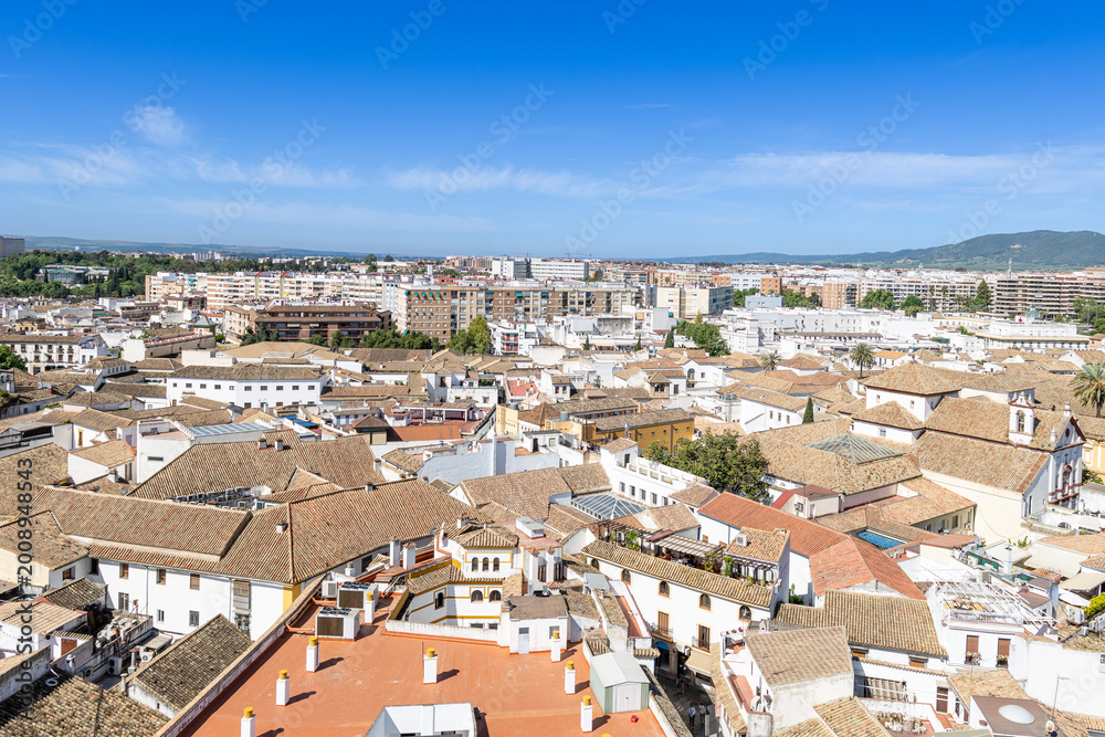 Fototapeta premium Buildings in the historic center of the city of Cordoba