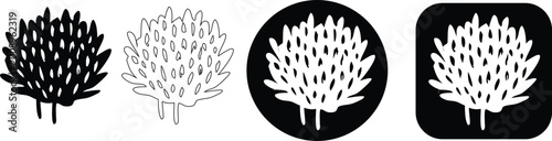 Fényképezés Minimalist black and white of a bushy plant or coral structure organic nature
