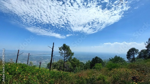 Foto Wide Panoramic View Of Lush Green Hills Under Cirrocumulus Clouds