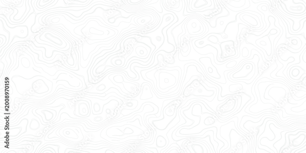 Fototapeta premium Soft Neutral Topographic Lines Texture Minimal Wallpaper
