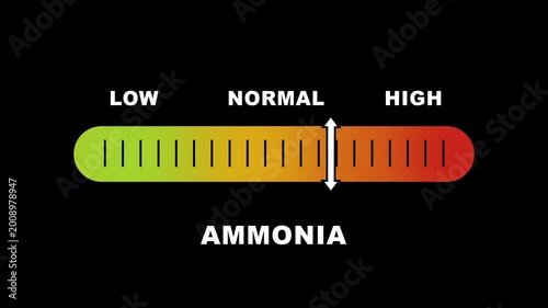 Ammonia level indicator scale. Low normal & high meter infographic animation on black background. Showing high ammonia level color gauge indicator for air quality and chemical safety monitoring.