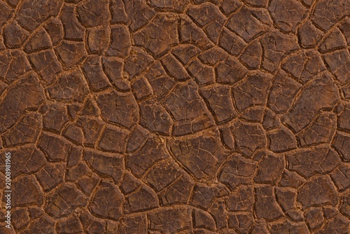 Schilderij op canvas Detailed close-up of dry, cracked earth texture, showcasing the effects of droug