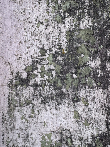 Fotografie Gritty detail of a derelict substrate featuring crumbling white finishes and enc