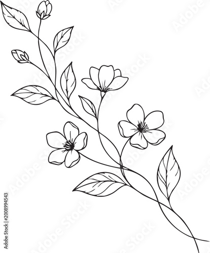 Elegant line drawing of flowering vine with green leaves