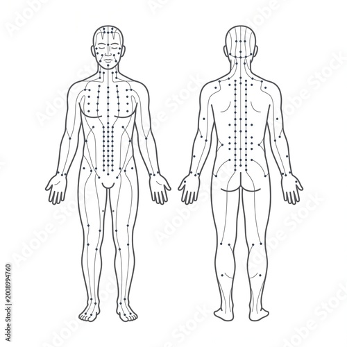Detailed diagram illustrating the human body's acupuncture points and meridian lines, essential for traditional Chinese medicine therapy, health, and wellness practices