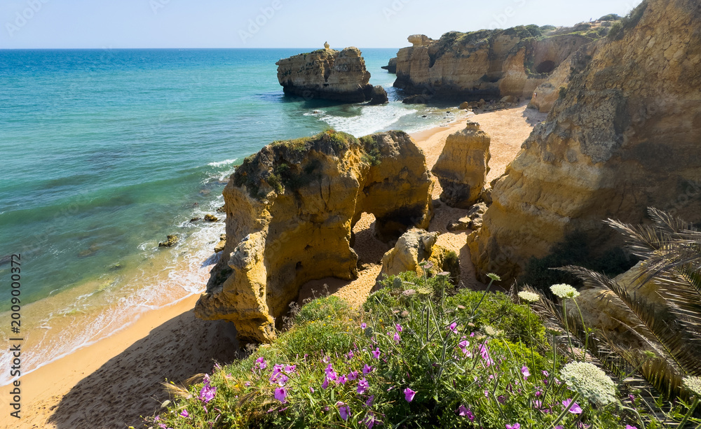 Fototapeta premium Atlantic coast in Portugal, the sea seen cliffs 
