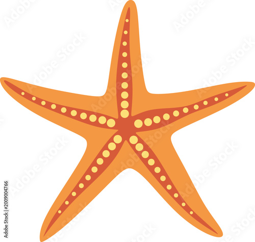 Illustration of a Starfish