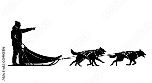 Fotografie Man guiding dog sled team racing.